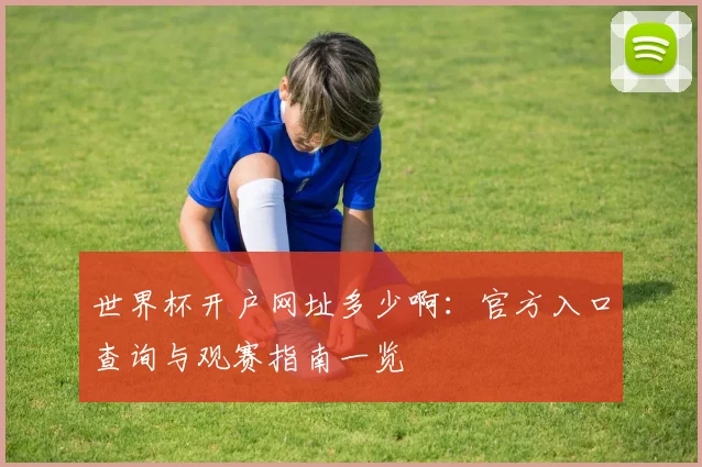 世界杯开户网址多少啊：官方入口查询与观赛指南一览